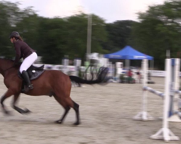 Reitturnier Wietmarschen 2019
