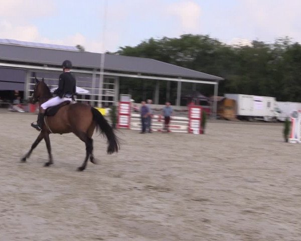 Reitturnier Wietmarschen 2019