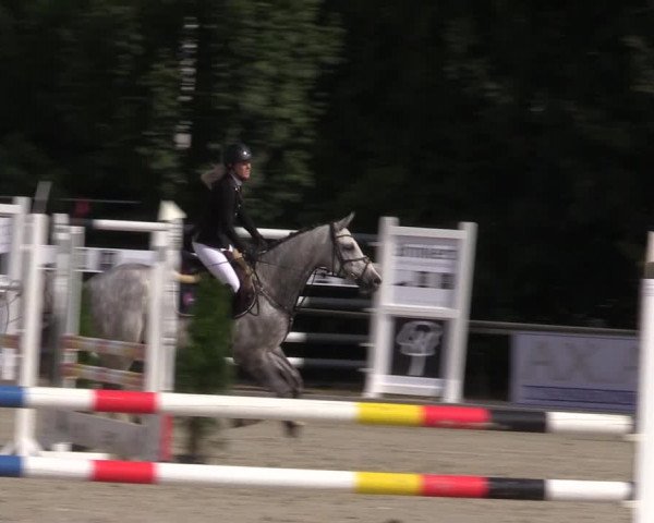 Reitturnier Wietmarschen 2019