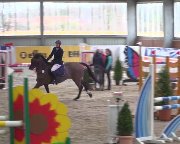 Reitturnier Greven 2019