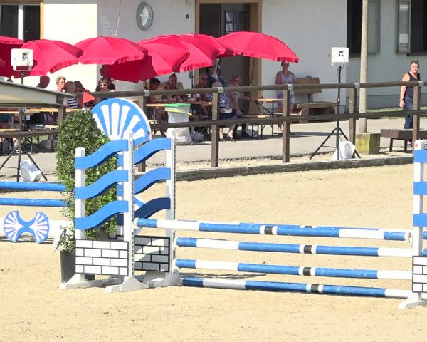 Reitturnier Bättwil 2019
