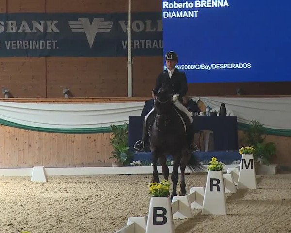 FEI Reitturnier Wiener Neustadt (AUT) 2019