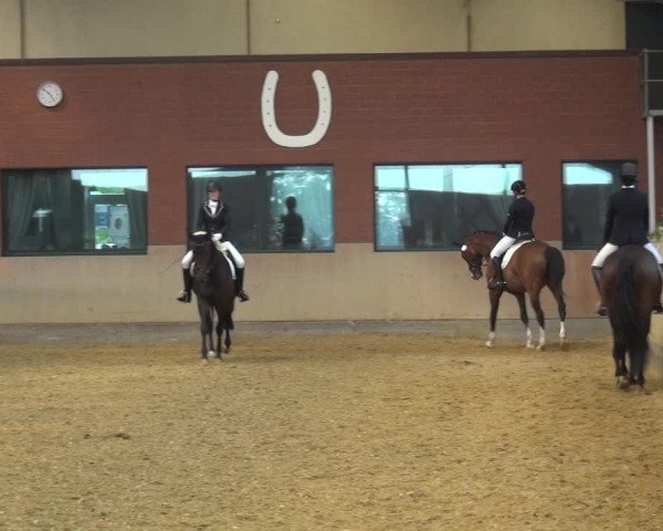 Reitturnier Neuss-Allerheiligen 2019