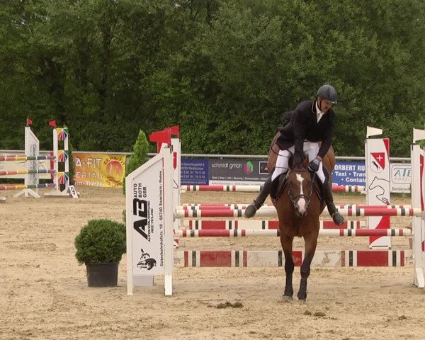 Reitturnier Püttlingen 2019
