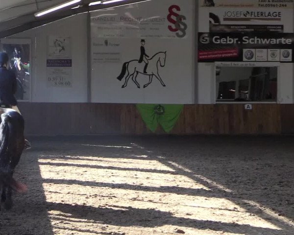 Dohrener Pferdetage 2019