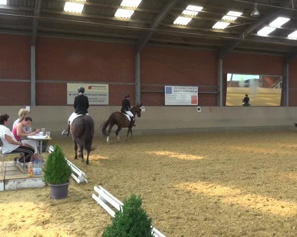 Reitturnier Neuss-Allerheiligen 2019