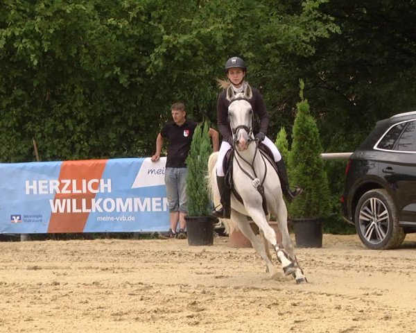 Reitturnier Püttlingen 2019