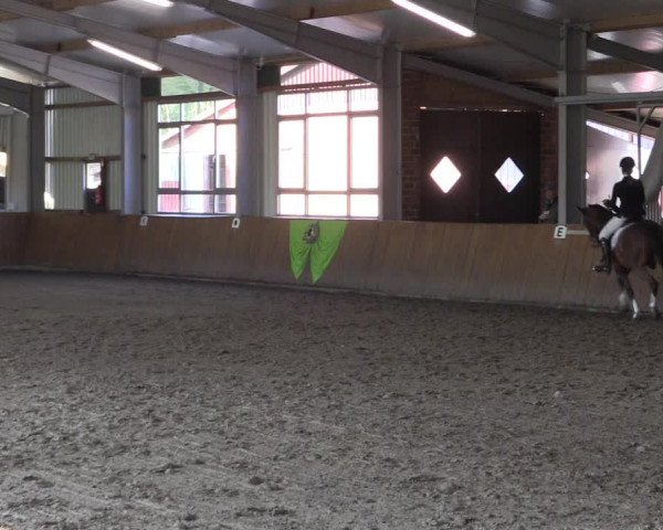 Dohrener Pferdetage 2019