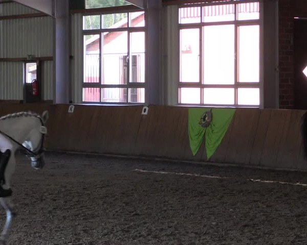 Dohrener Pferdetage 2019