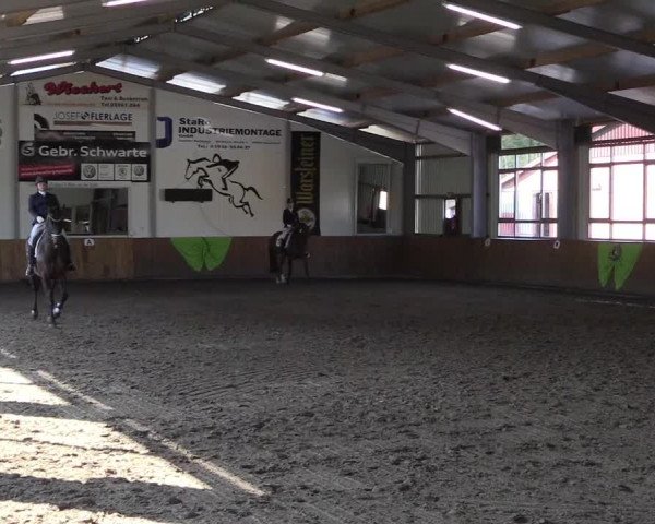 Dohrener Pferdetage 2019