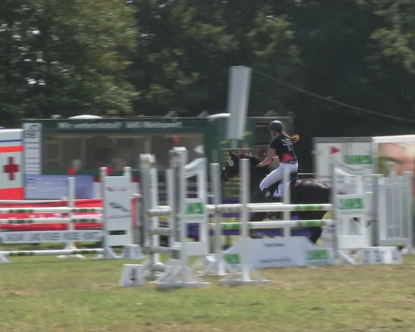 Reitturnier Felmerholz 2019
