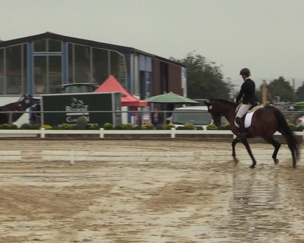 Reitturnier Bühren-Breckerfeld 2019