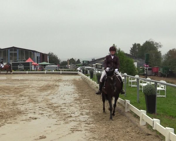 Reitturnier Bühren-Breckerfeld 2019