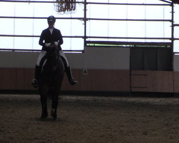 Reitturnier Datteln 2019