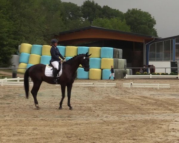 Reitturnier Bühren-Breckerfeld 2019