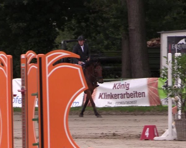 Reitturnier Datteln 2019