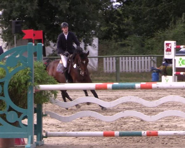 Reitturnier Datteln 2019