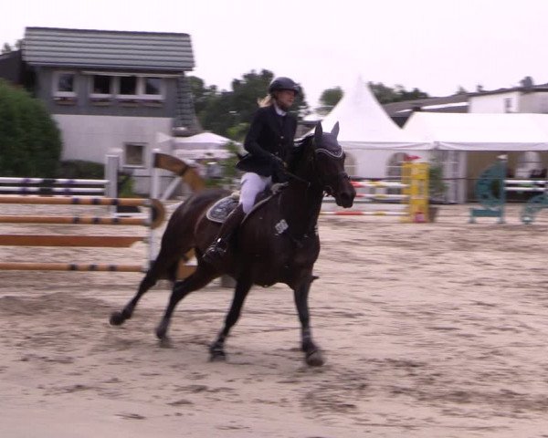 Reitturnier Datteln 2019