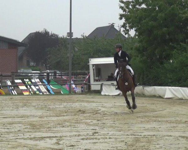 Reitturnier Neuss-Allerheiligen 2019