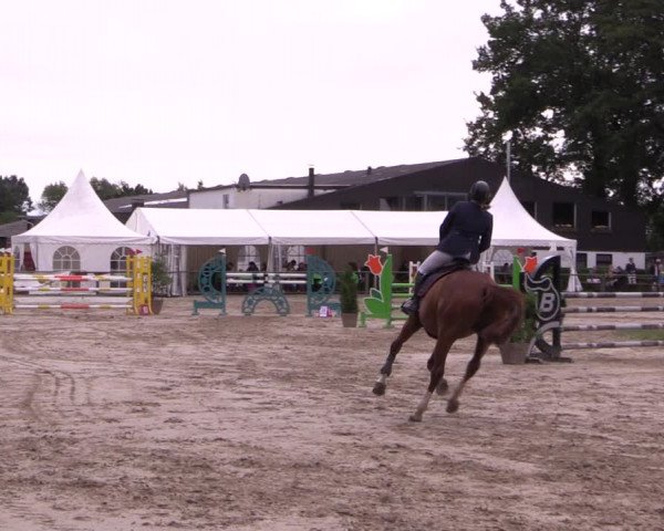 Reitturnier Datteln 2019