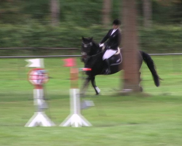 Reitturnier Wedel-Catharinenhof 2019