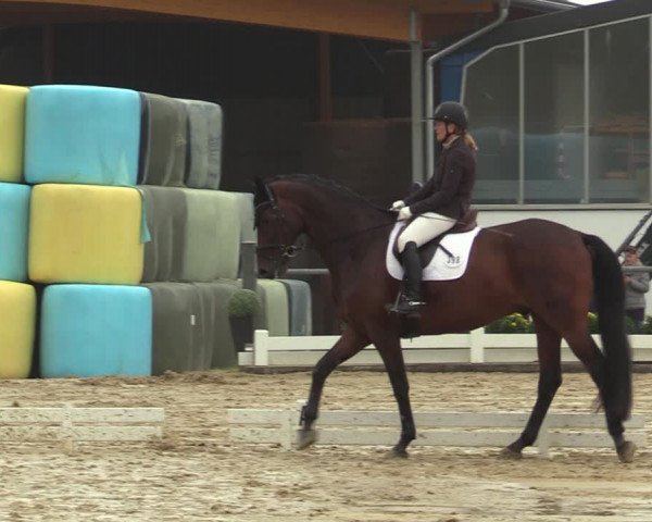 Reitturnier Bühren-Breckerfeld 2019