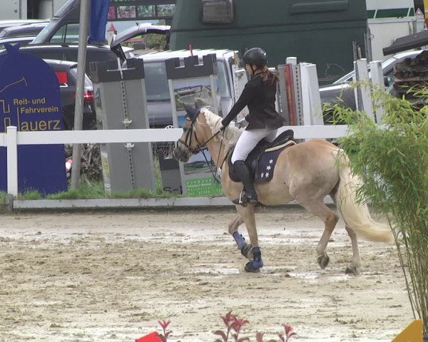 Reitturnier Hauerz 2019