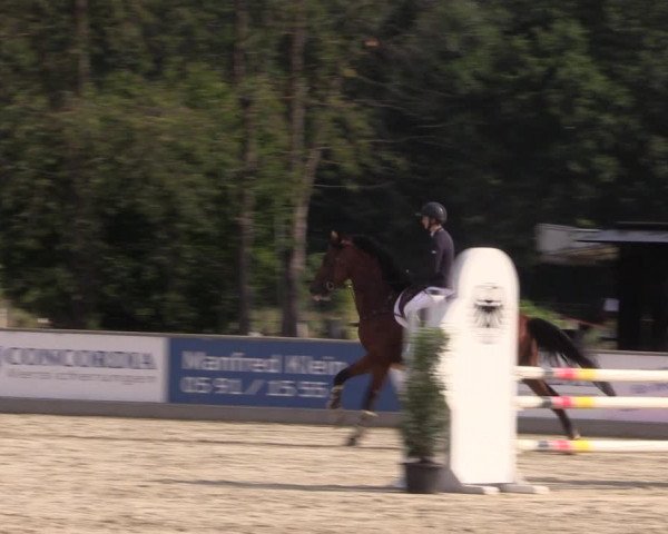Reitturnier Wietmarschen 2019