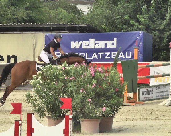 Reitturnier Oberderdingen 2019