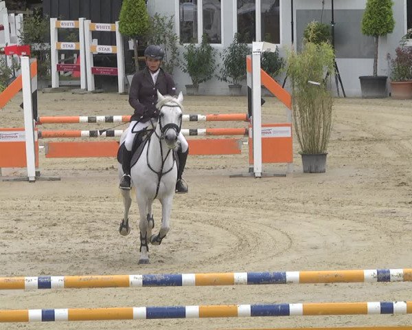 Reitturnier Hauerz 2019