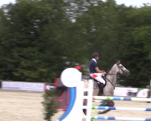 Reitturnier Wietmarschen 2019