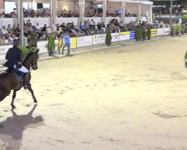 Reitturnier Humlikon 2019