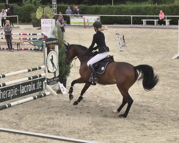 Reitturnier Durmersheim-Hardt 2019