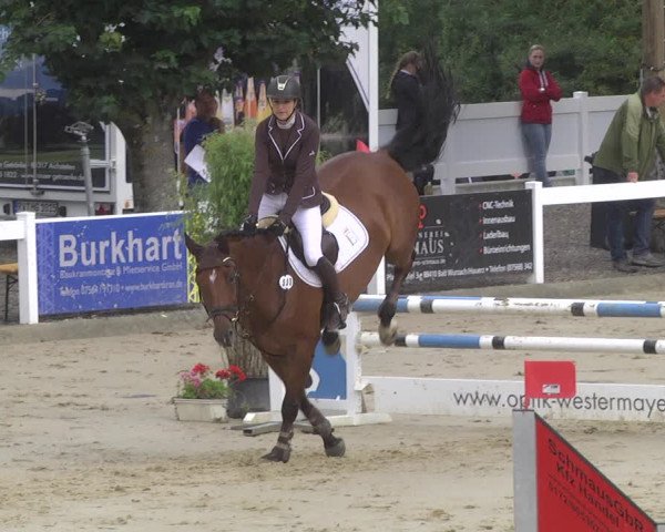 Reitturnier Hauerz 2019