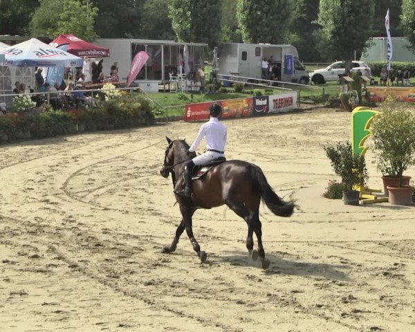 Reitturnier Oberderdingen 2019