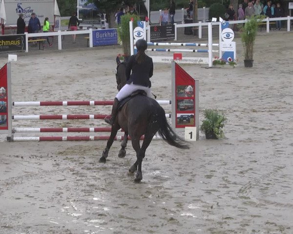 Reitturnier Hauerz 2019