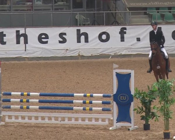 Reitturnier Kreuth/Opf. 2019