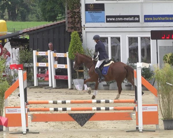 Reitturnier Hauerz 2019