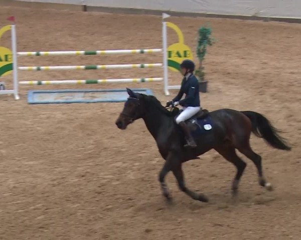 Reitturnier Kreuth/Opf. 2019