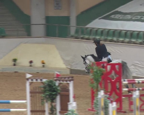 Reitturnier Kreuth/Opf. 2019