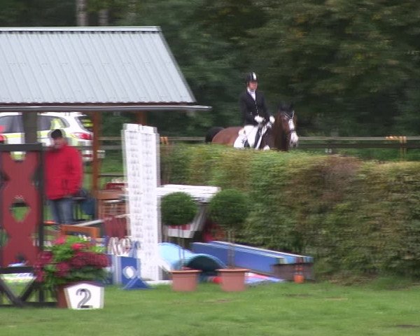 Reitturnier Wedel-Catharinenhof 2019