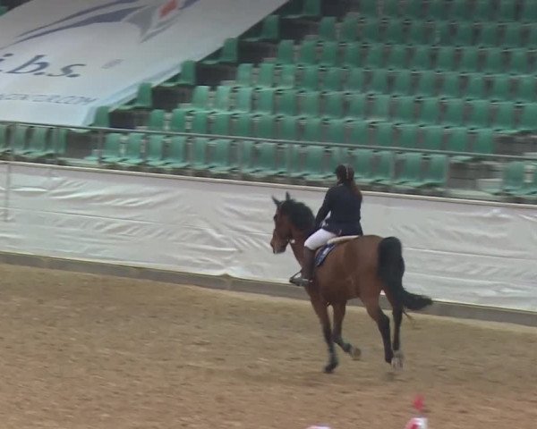 Reitturnier Kreuth/Opf. 2019
