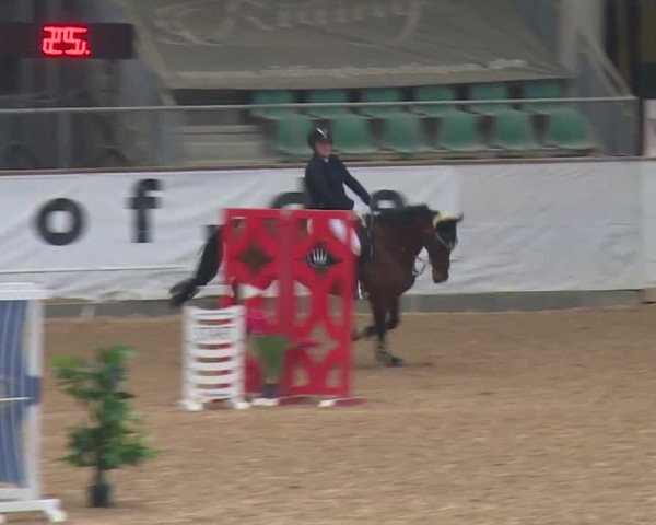 Reitturnier Kreuth/Opf. 2019
