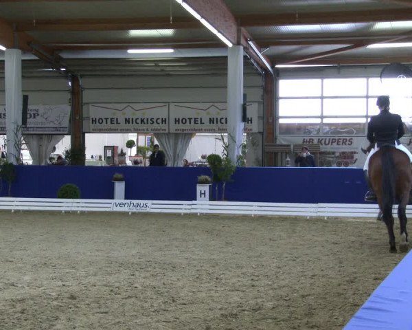 Reitturnier Isterberg 2019