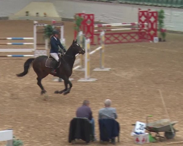 Reitturnier Kreuth/Opf. 2019