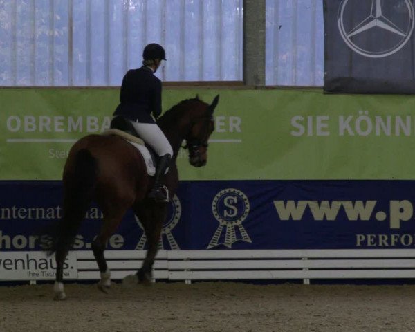 Reitturnier Isterberg 2019