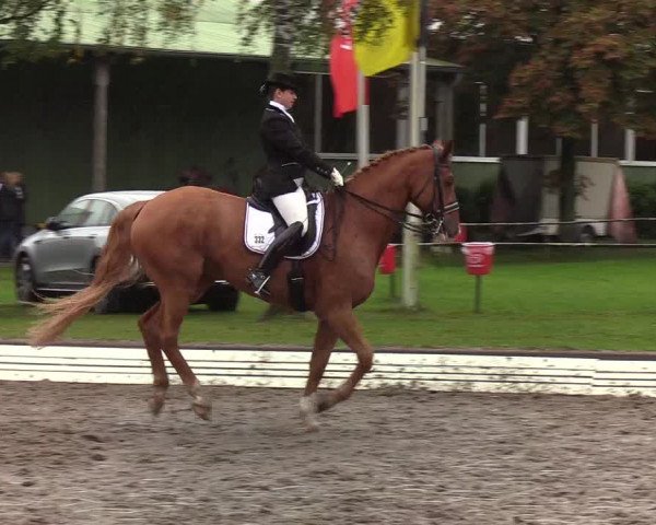 Reitturnier Wedel-Catharinenhof 2019