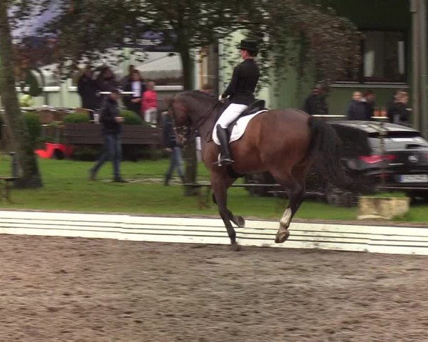 Reitturnier Wedel-Catharinenhof 2019