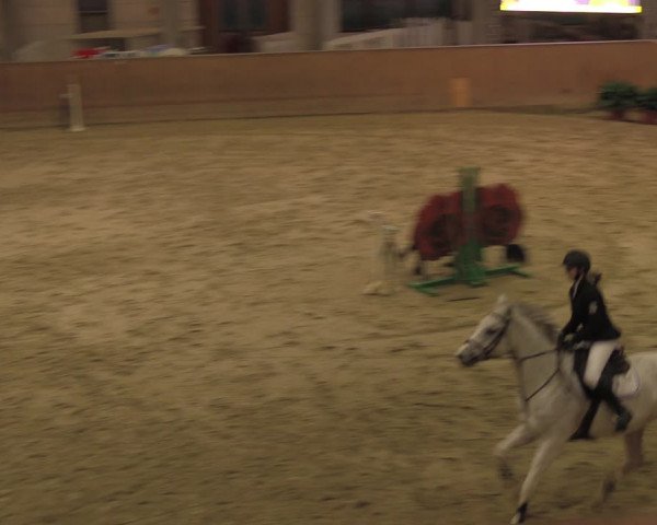 Reitturnier Prussendorf 2020