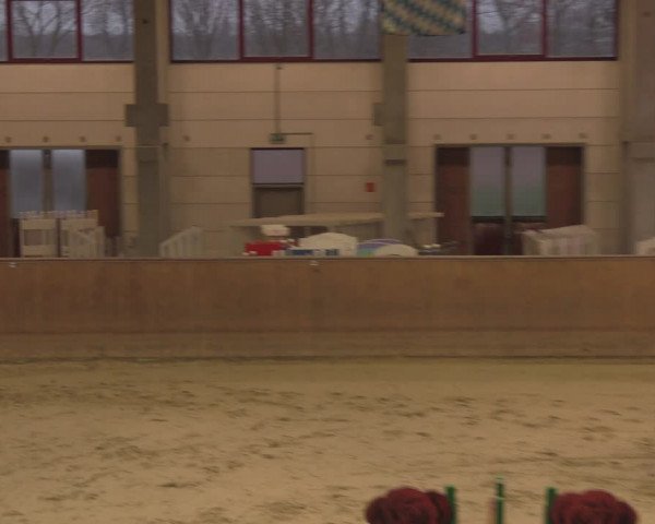Reitturnier Prussendorf 2020